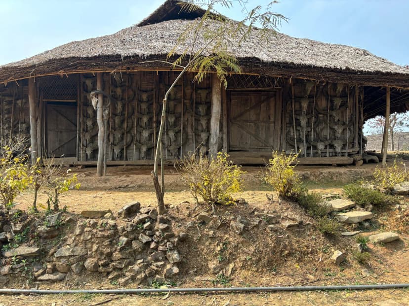 Tribal Discovery