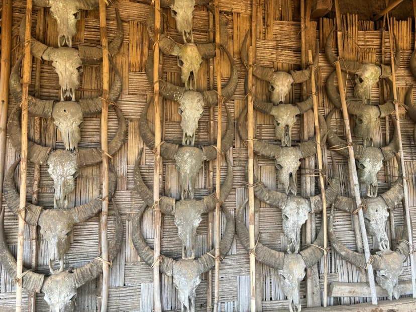 Tribal Discovery