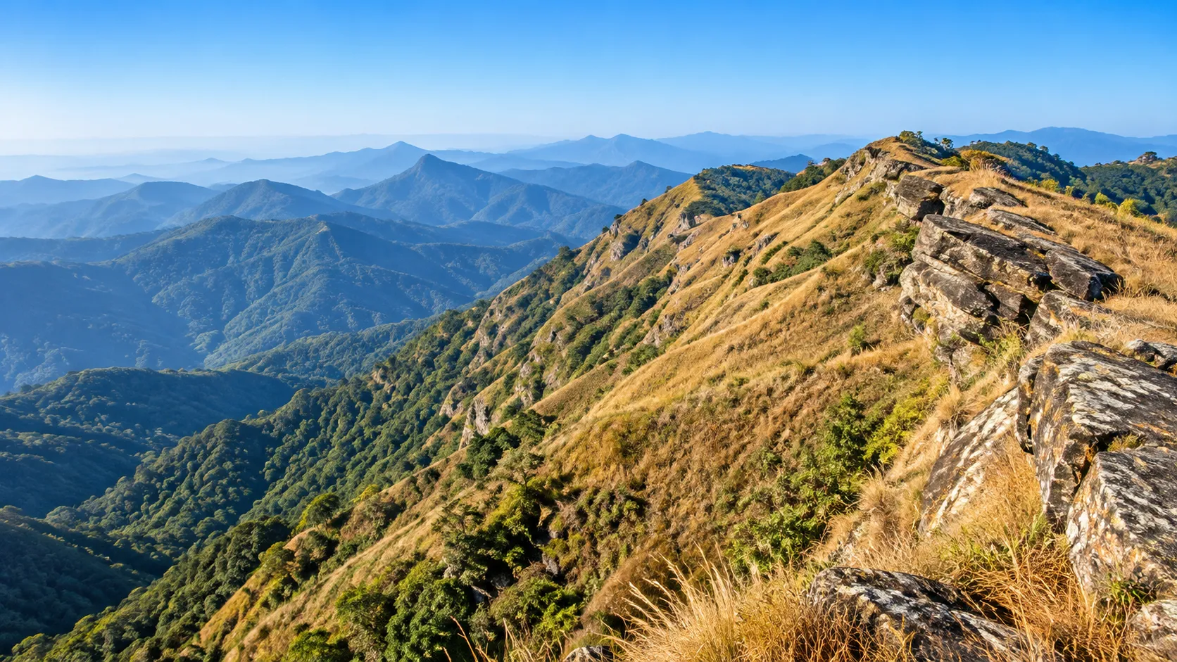 Reiek Hills Travel Guide 2026: Village, Trekking, Views & How to Reach