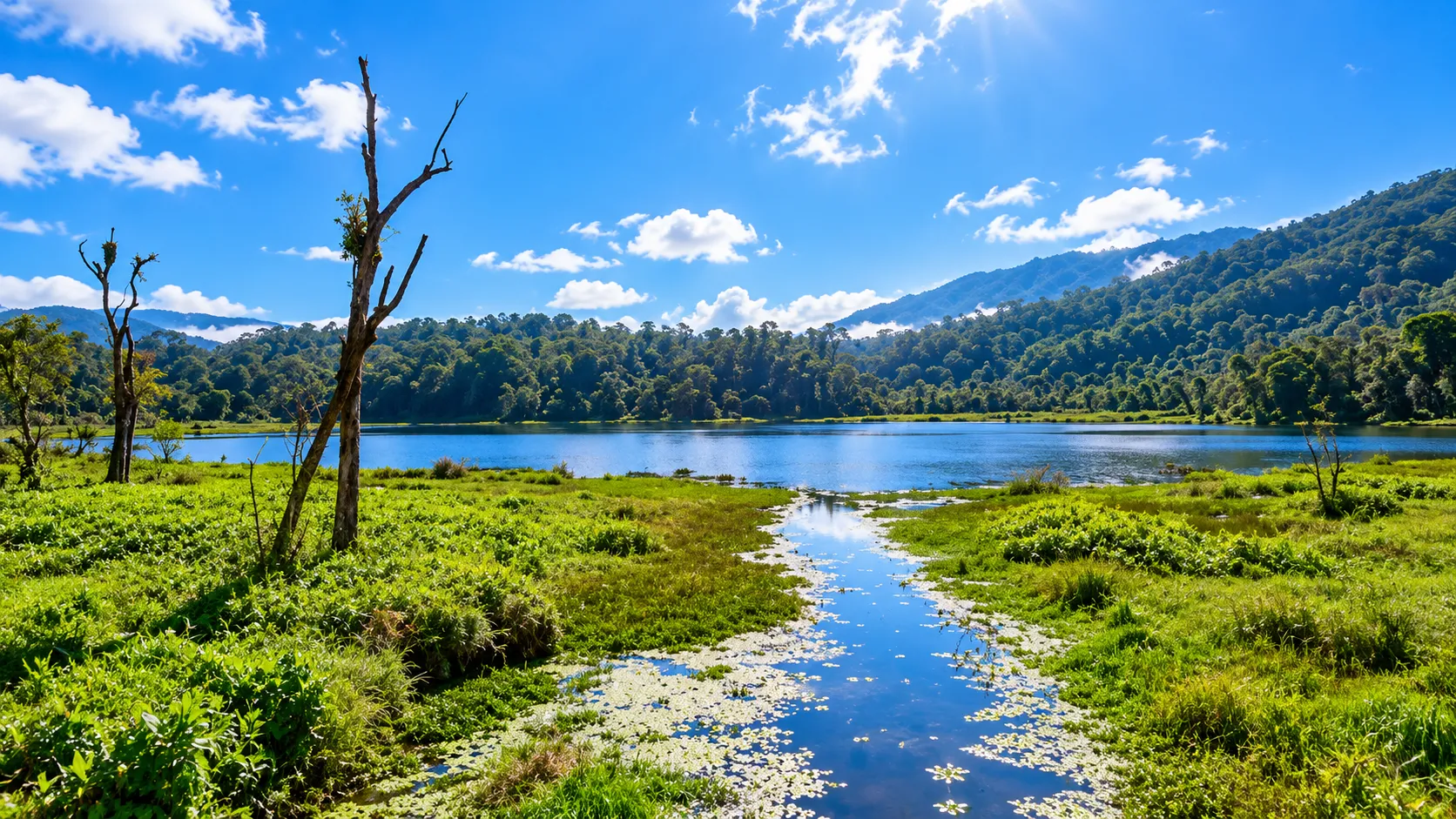 Palak Lake Travel Guide 2026: Wildlife, Scenery & Travel Tips