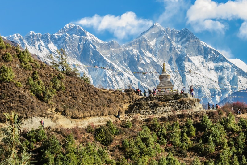 Hornbill Festival & Dzukou Valley Trek 2026